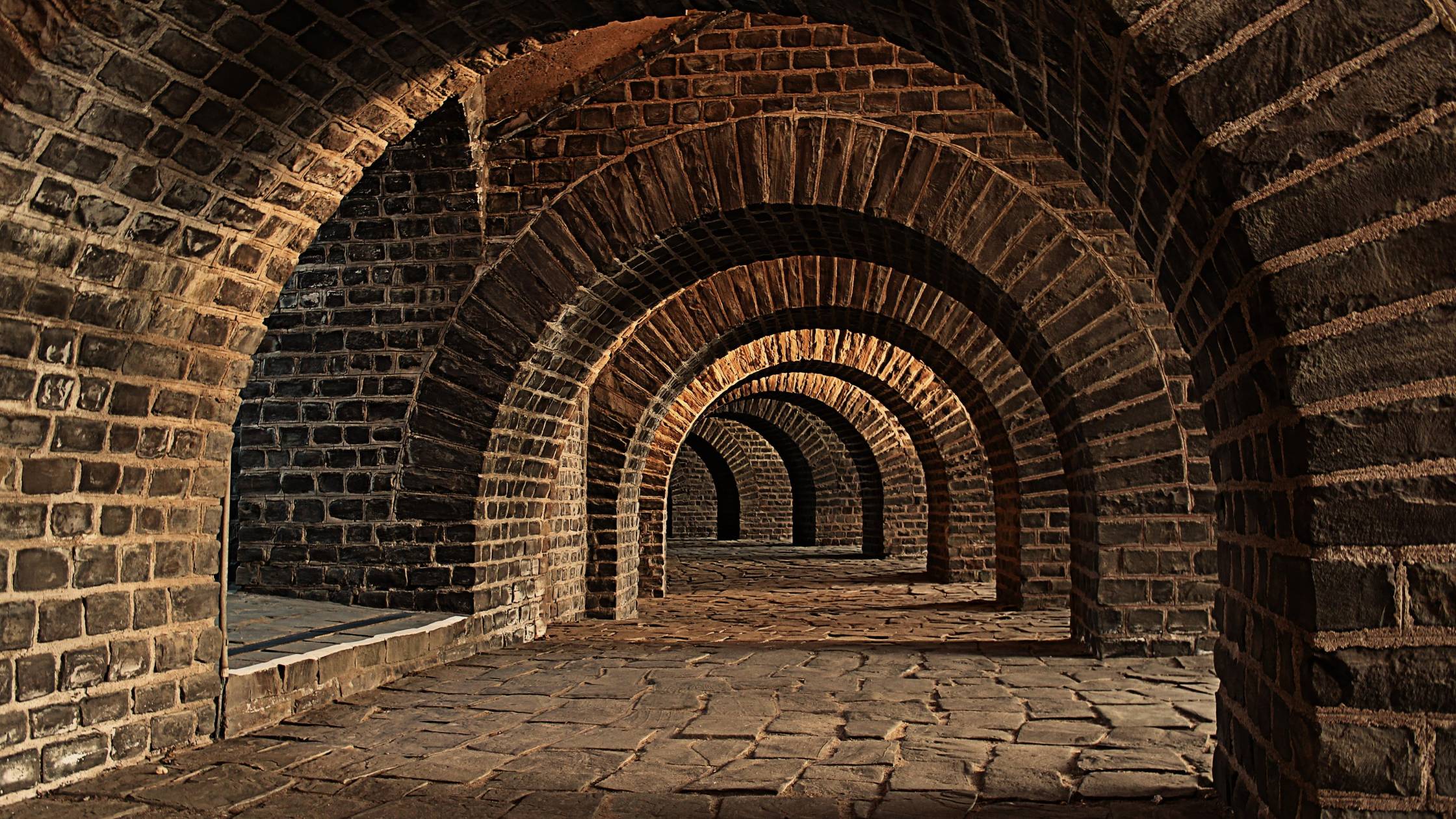 How To Deal With Mold In Your Cellar or When Constructing a New Wine Cellar