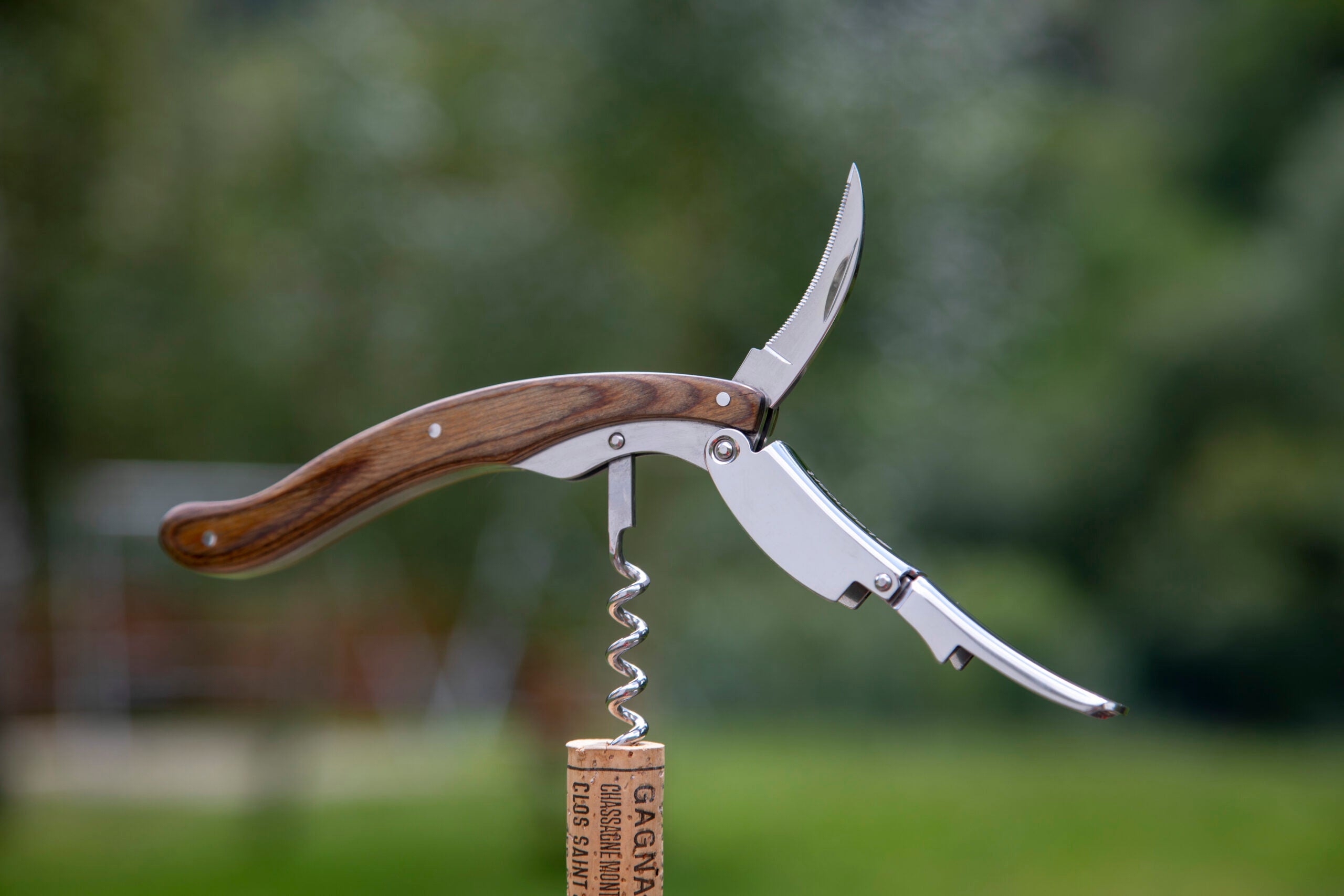 Nebbiolo Grey Legonart Corkscrew