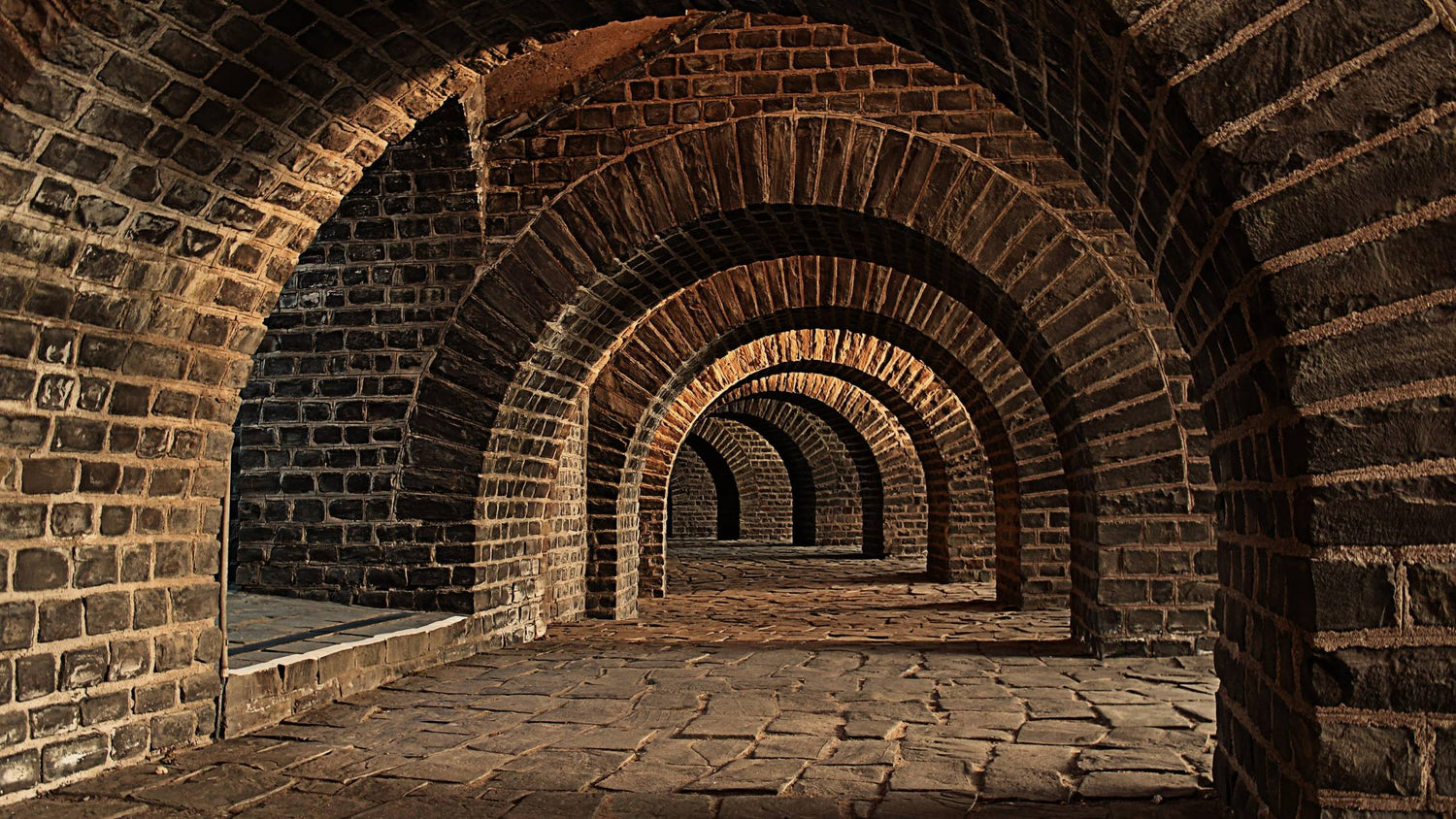 How To Deal With Mold In Your Cellar or When Constructing a New Wine Cellar